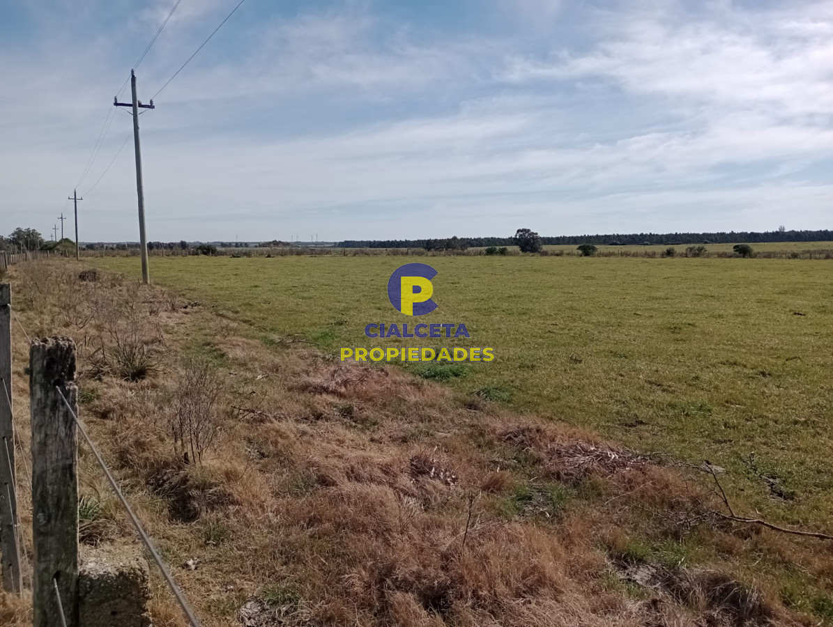 Chacra ID.287 - 5 hectáreas en Maldonado