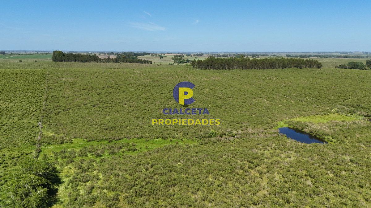 Minas - GoPunta - Portal Inmobiliario de Punta del Este - Maldonado