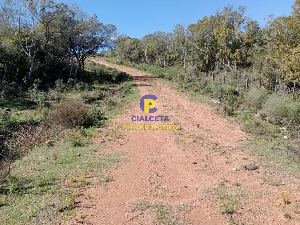 Chacra ID.292 - 5 hectáreas con monte y cañada
