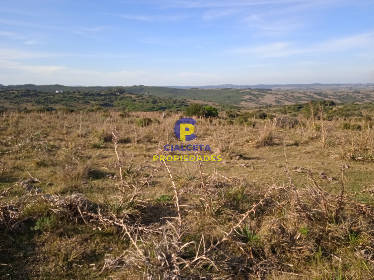 Chacra ID.204 - 5 hectáreas en Garzón