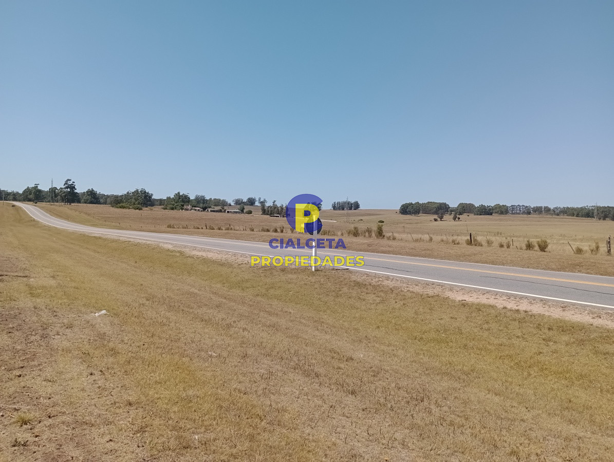 Chacra ID.117 - 5 hectáreas en ruta 104