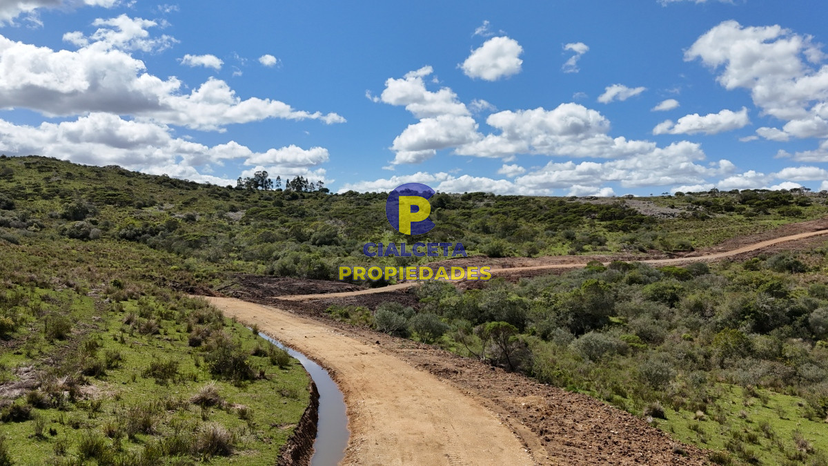 Maldonado - GoPunta - Portal Inmobiliario de Punta del Este - Maldonado