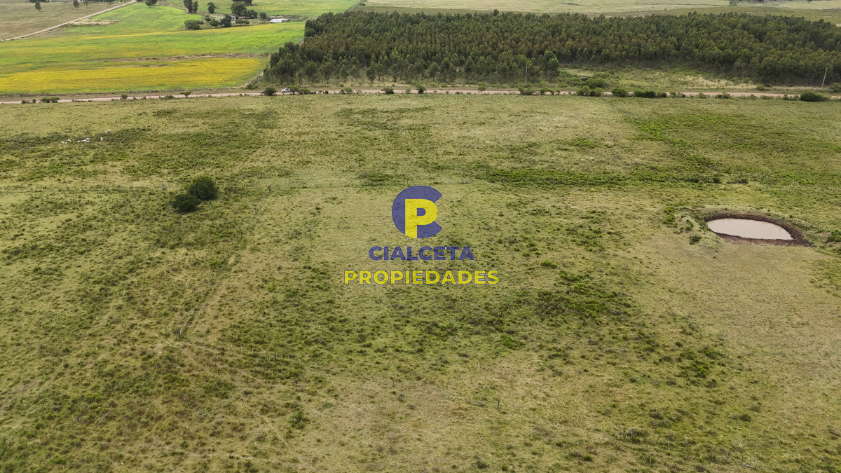 Chacra ID.564 - 3 hectáreas, son 6 chacras, una con casa
