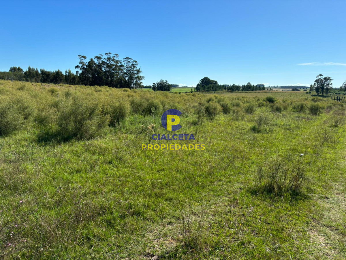 Migues - GoPunta - Portal Inmobiliario de Punta del Este - Maldonado