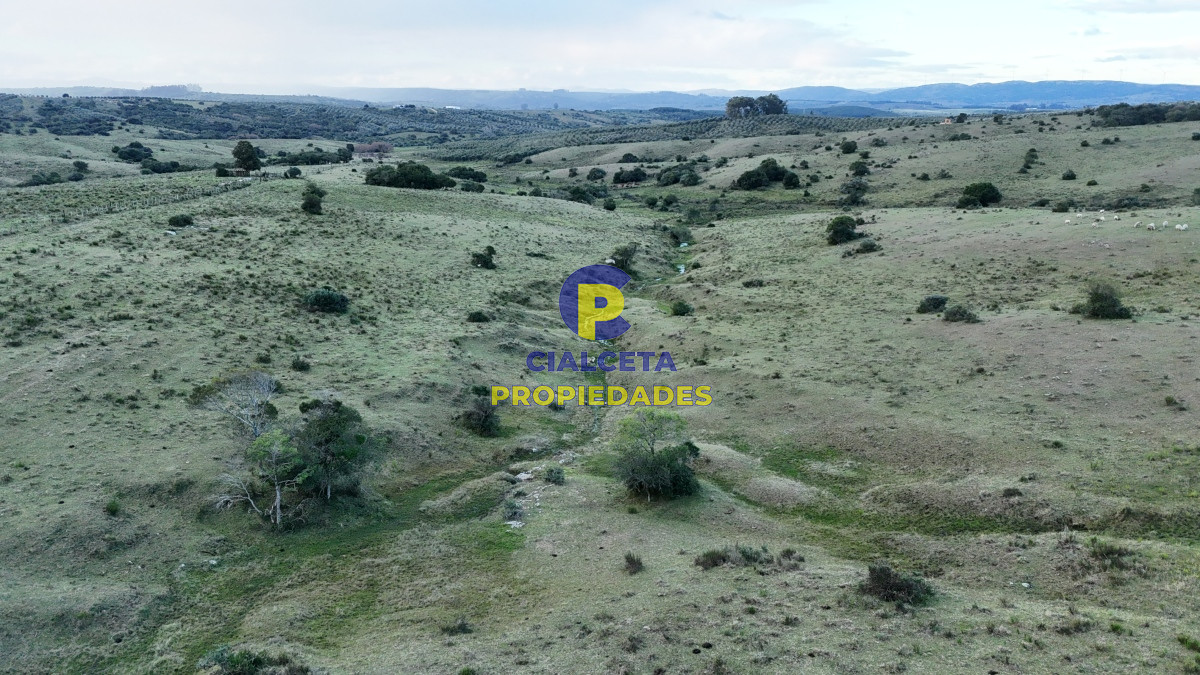 Pueblo Eden - GoPunta - Portal Inmobiliario de Punta del Este - Maldonado
