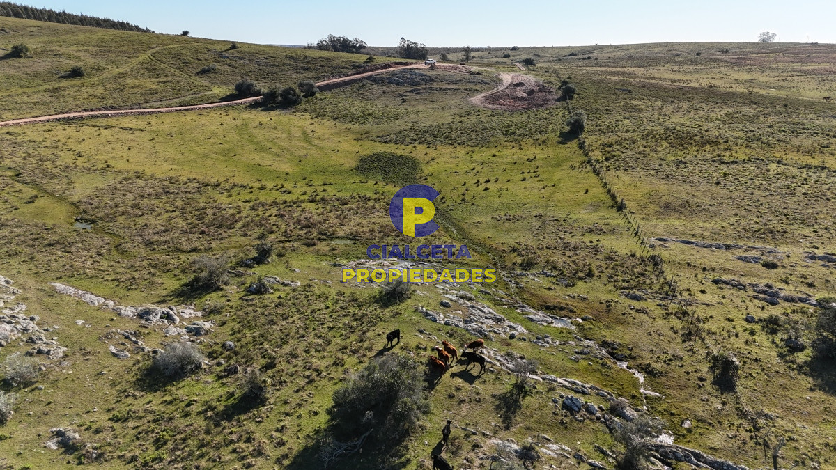 Chacra ID.493 - 5 hectáreas con entrega de 6 mil dólares