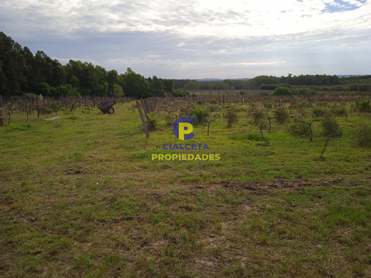 Chacra ID.201 - 3 hectáreas en Canelones