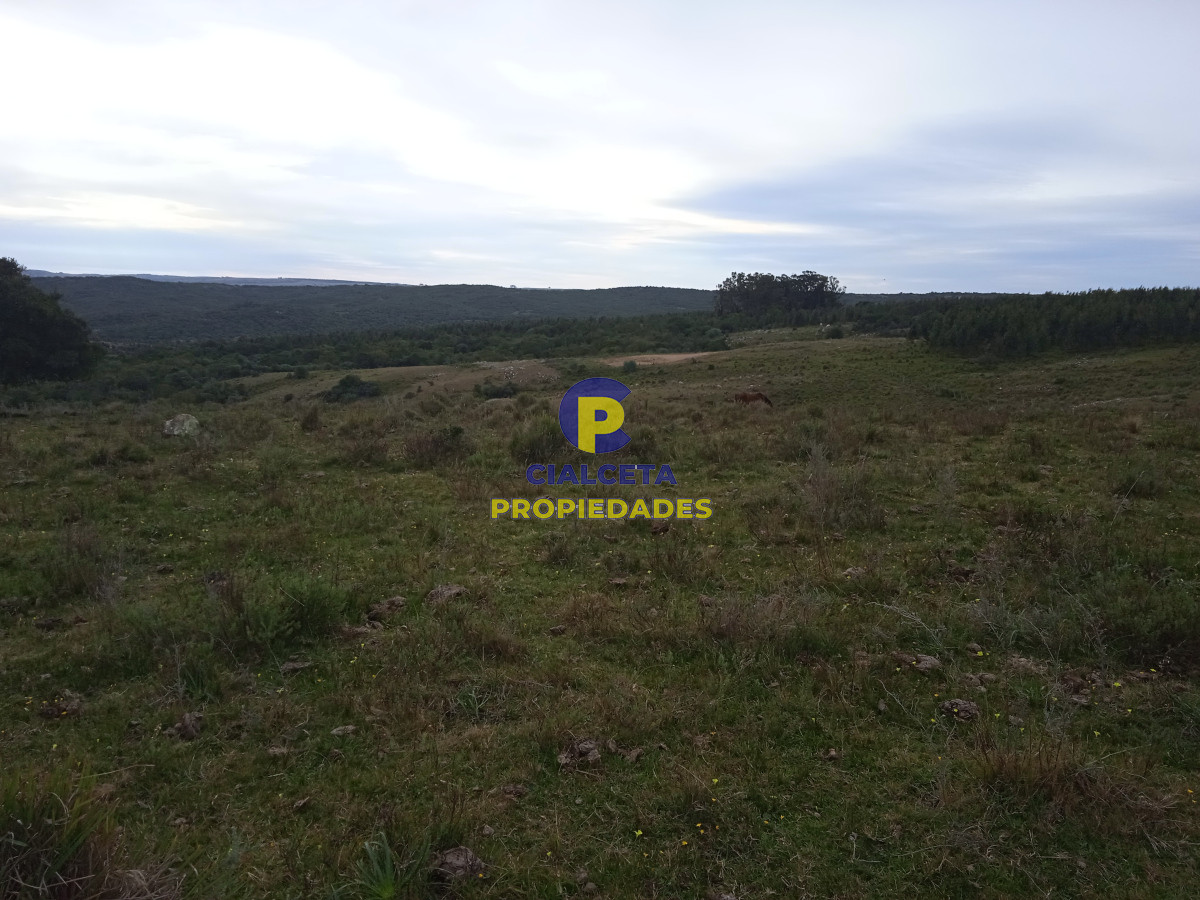 14 hectáreas con 7.500 metros con casa - GoPunta - Portal Inmobiliario de Punta del Este - Maldonado