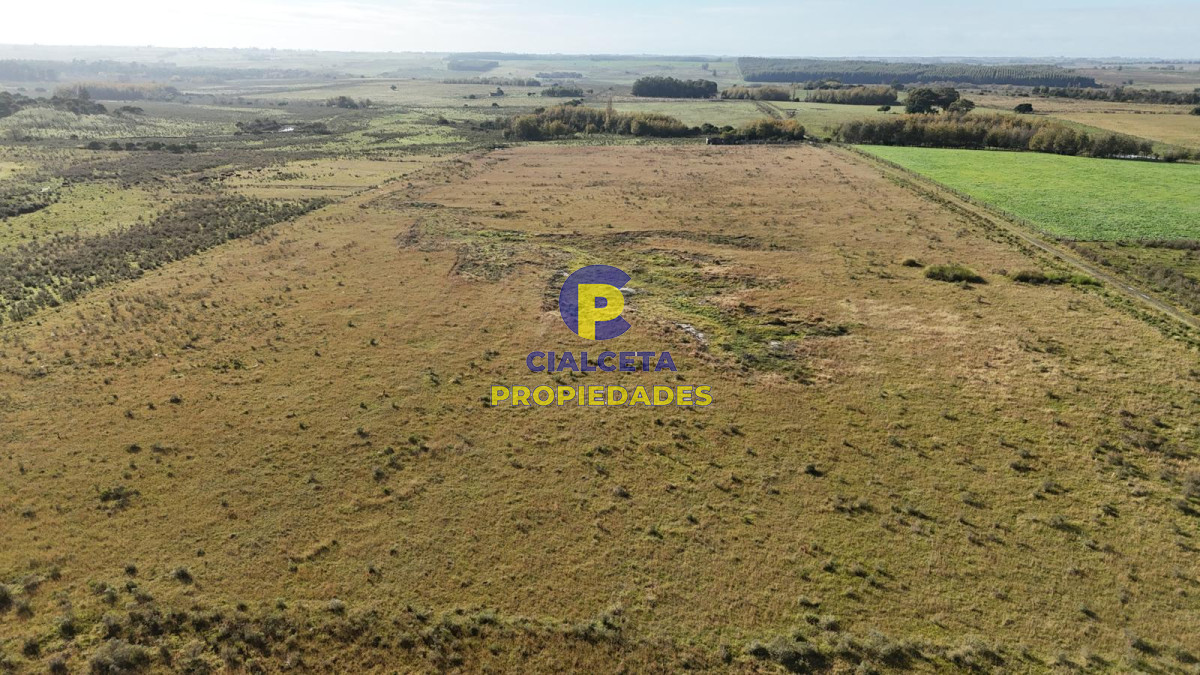 Canelones - GoPunta - Portal Inmobiliario de Punta del Este - Maldonado