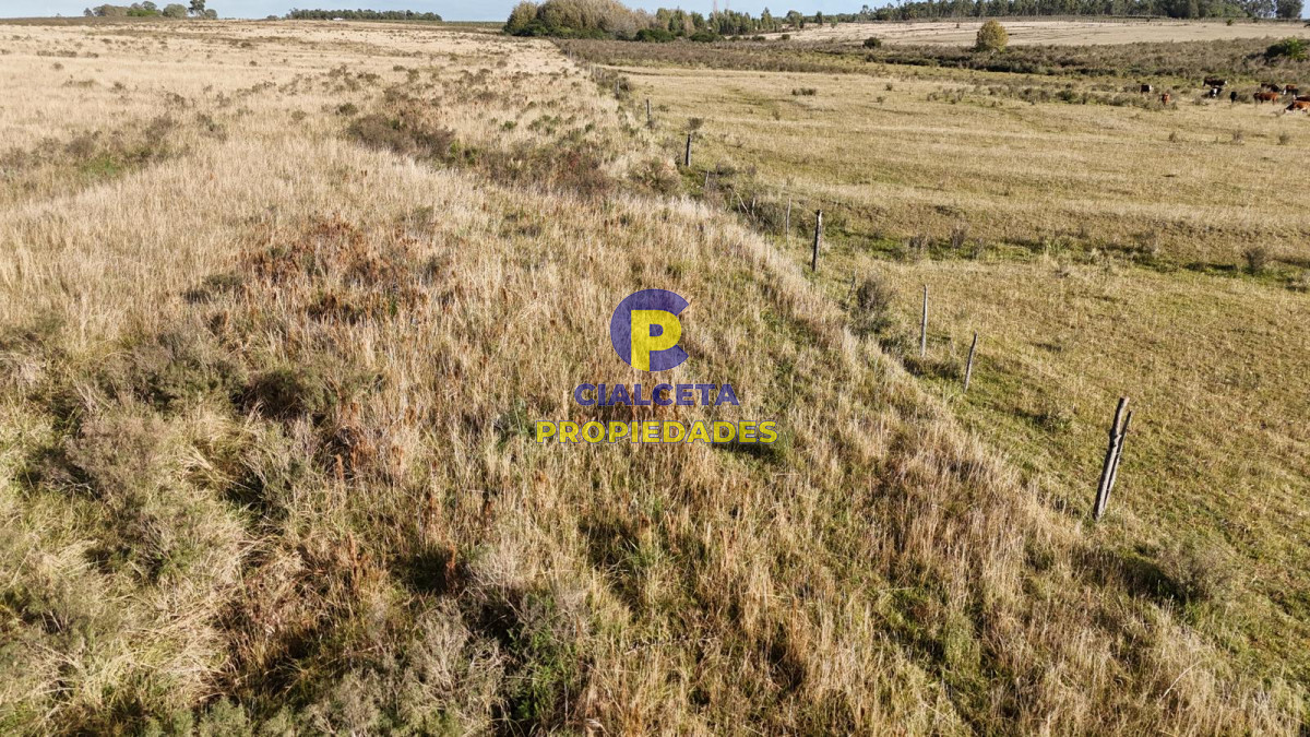 Chacra ID.575 - 11 hectáreas en Canelones, sobre carretera