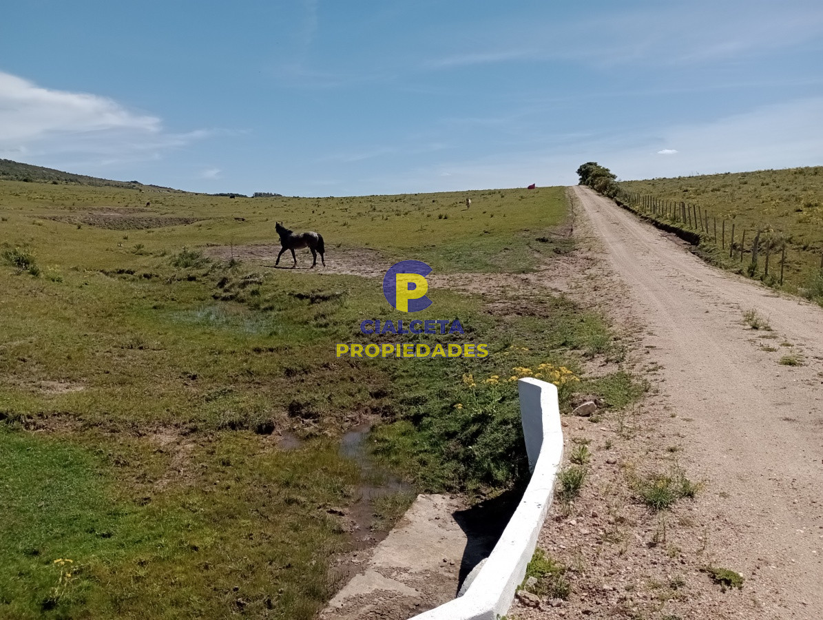 Chacra ID.208 - 5 hectáreas en Pueblo Edén