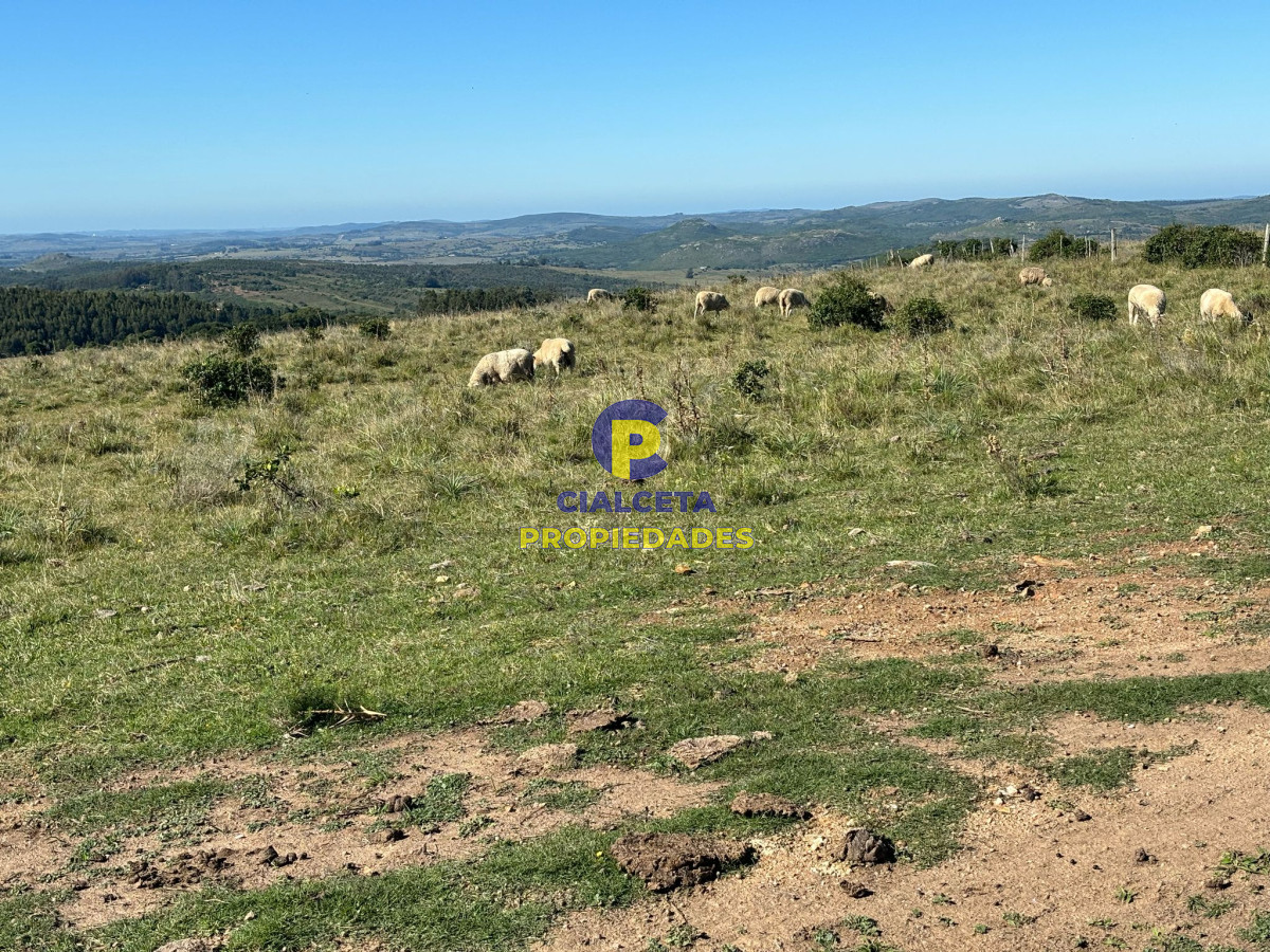 Chacra ID.570 - chacras de 5 hectáreas a minutos de Pueblo Edén, se financian