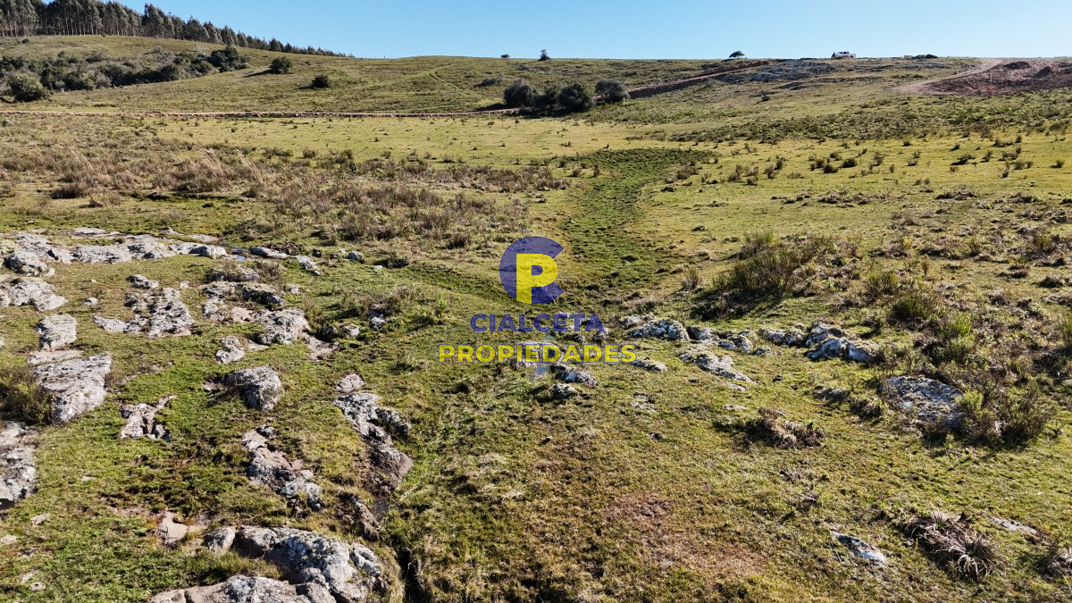 Chacra ID.493 - 5 hectáreas con entrega de 6 mil dólares