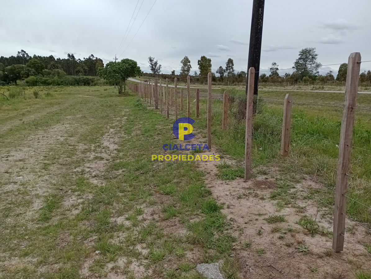 Chacra ID.201 - 3 hectáreas en Canelones