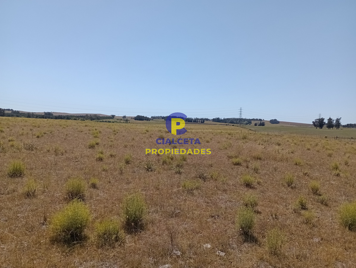 Chacra ID.117 - 5 hectáreas en ruta 104