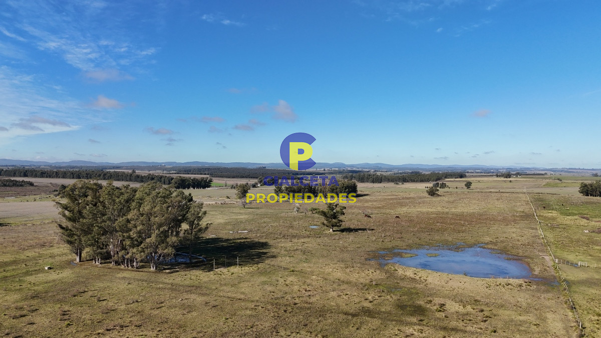 Minas - GoPunta - Portal Inmobiliario de Punta del Este - Maldonado