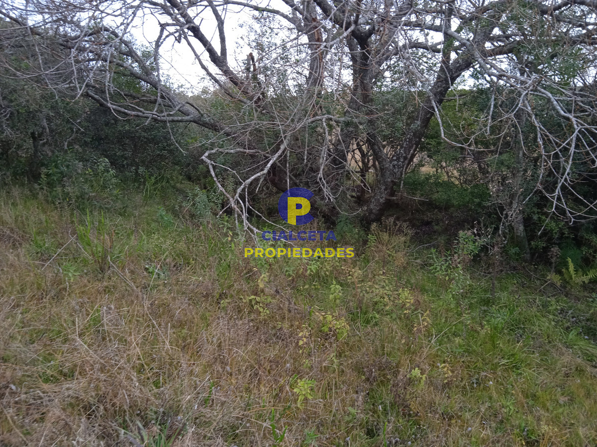 Zona Rural - GoPunta - Portal Inmobiliario de Punta del Este - Maldonado