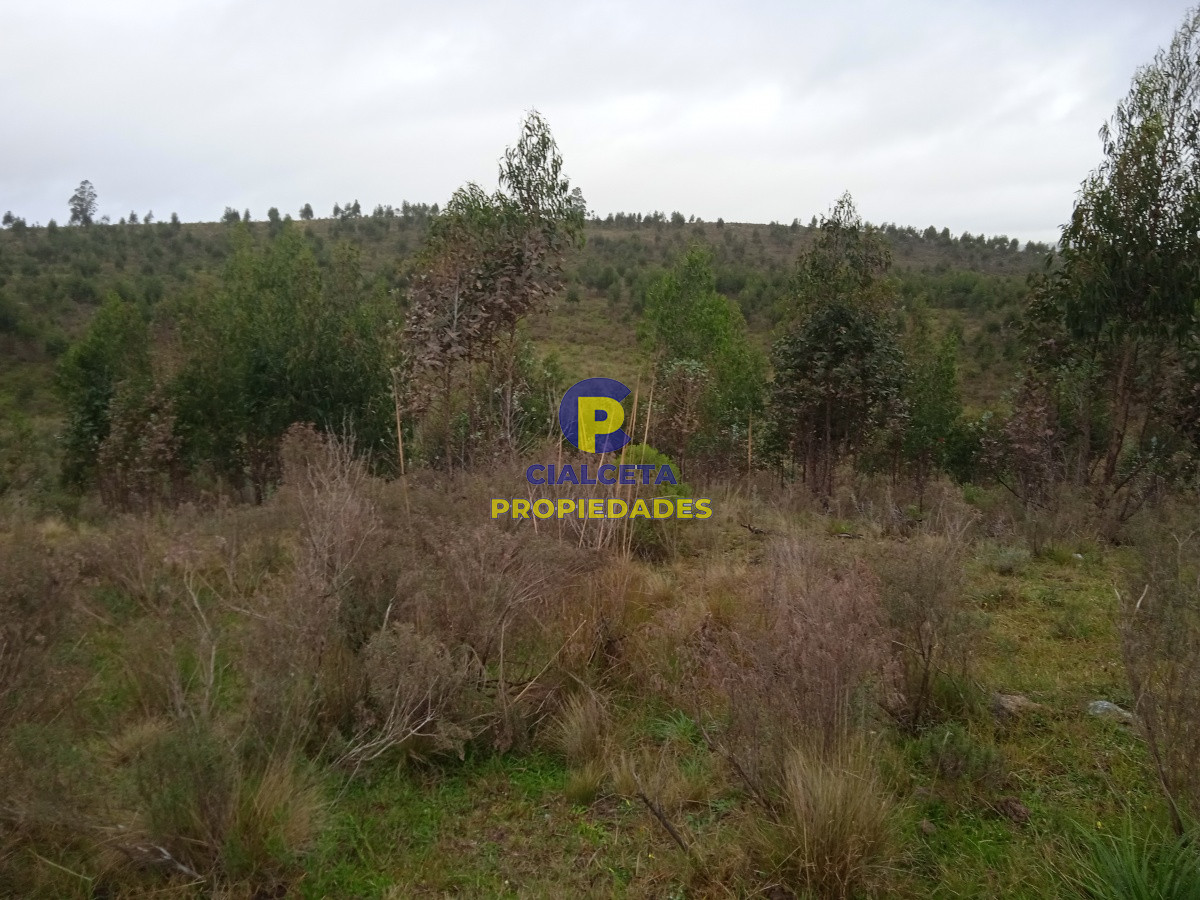 Chacra ID.48 - Entrega 7.000 U$S y saldo en 72 cuotas de 593 U$S