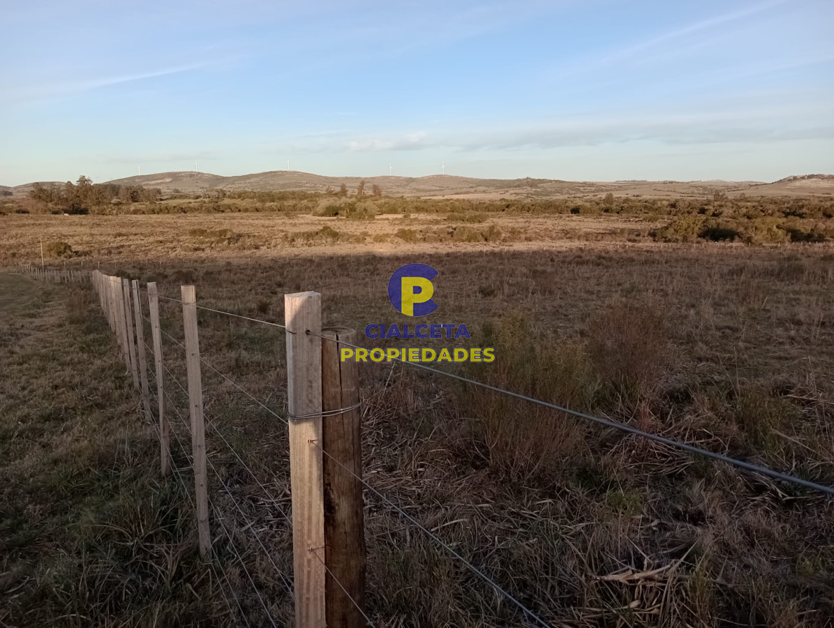 Chacra ID.299 - 6 hectáreas en Pueblo Edén
