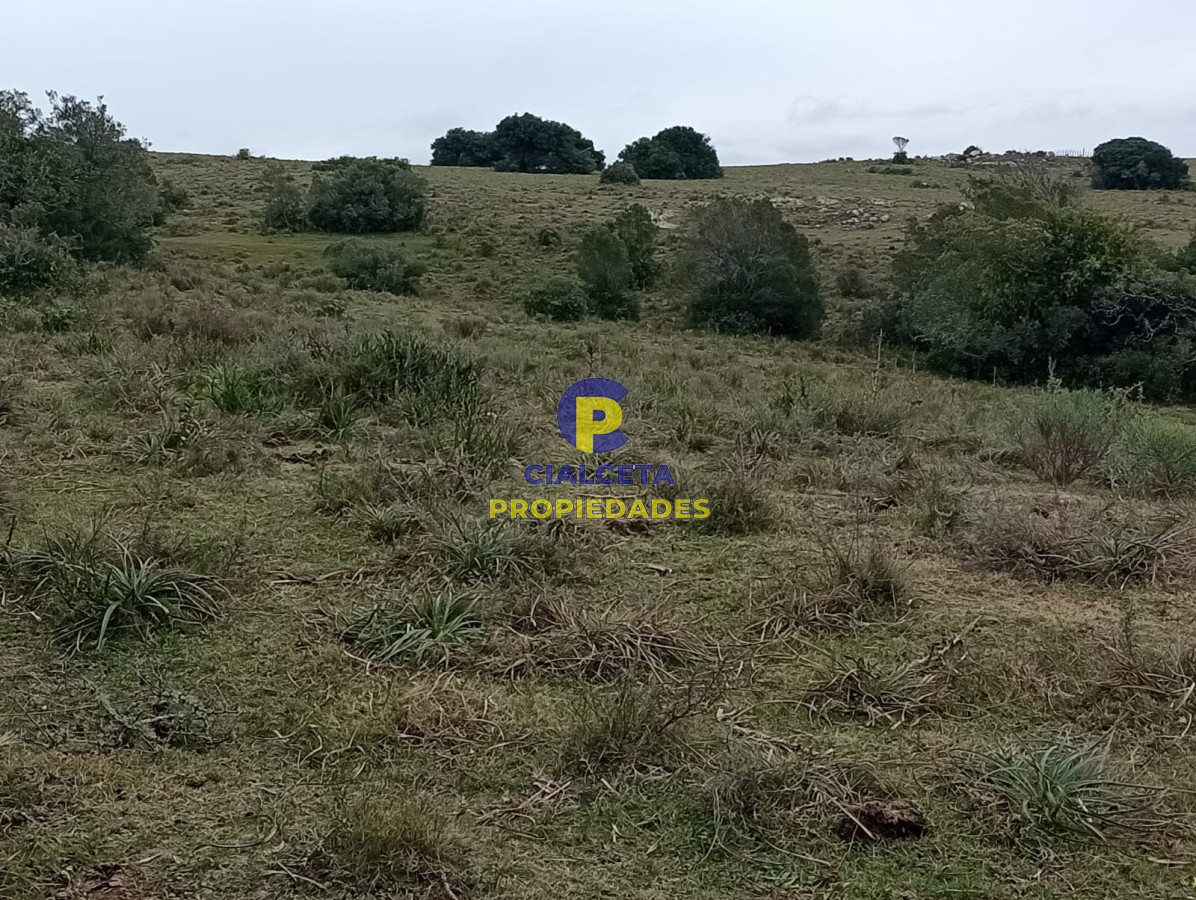 Propiedad - GoPunta - Portal Inmobiliario de Punta del Este - Maldonado