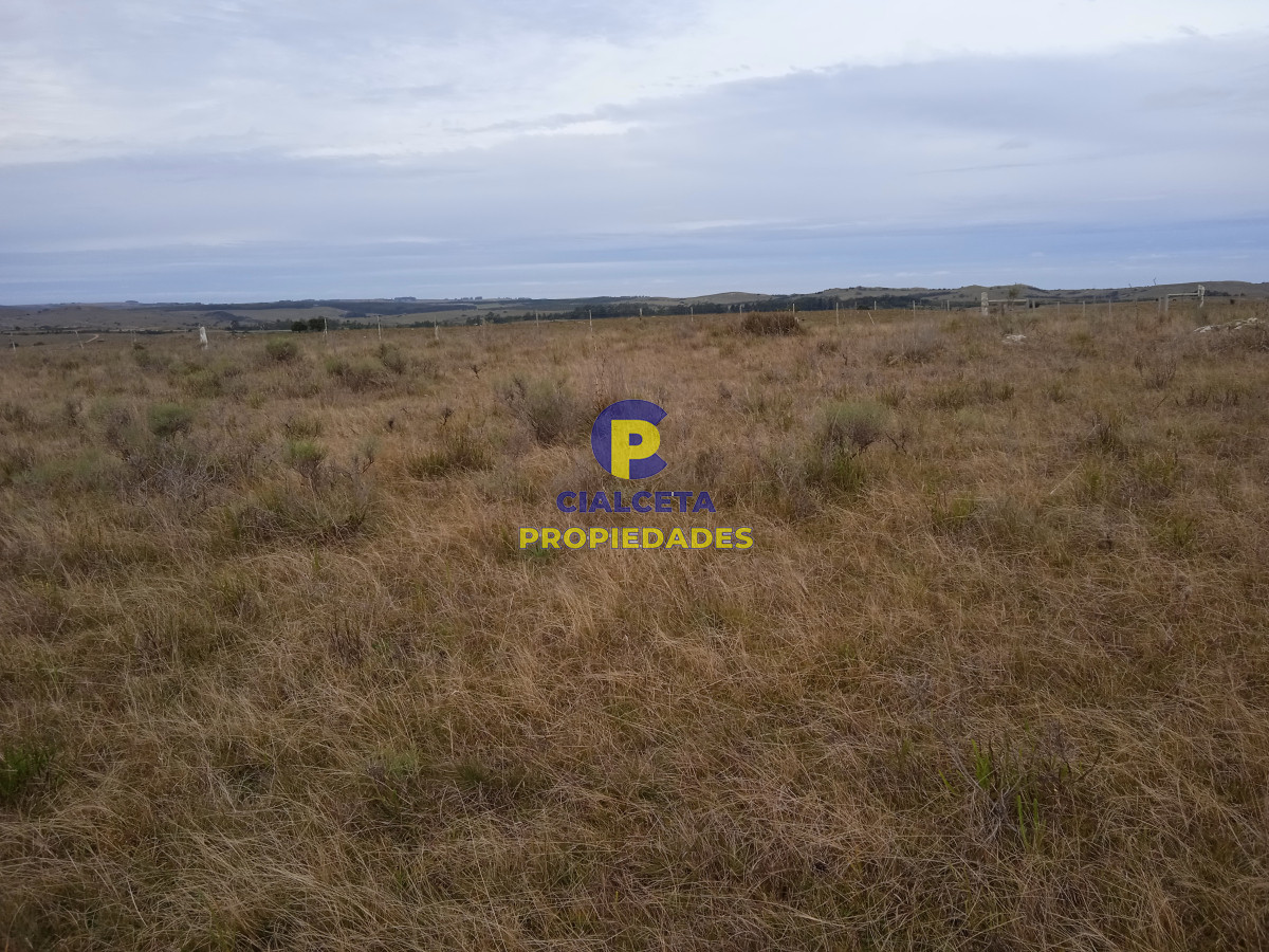 Zona Rural - GoPunta - Portal Inmobiliario de Punta del Este - Maldonado