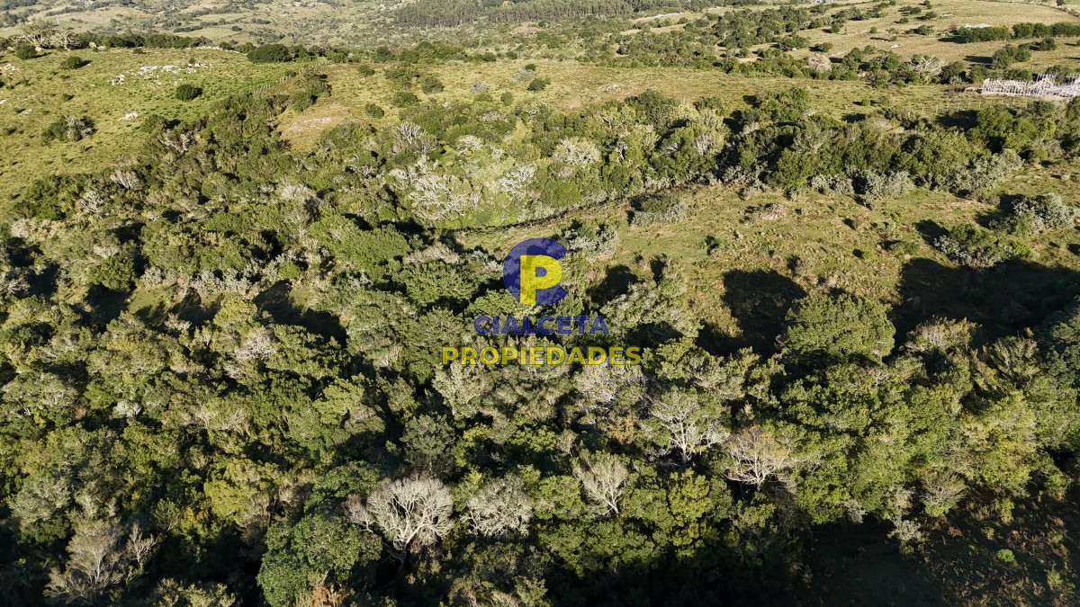 Pueblo Eden - GoPunta - Portal Inmobiliario de Punta del Este - Maldonado