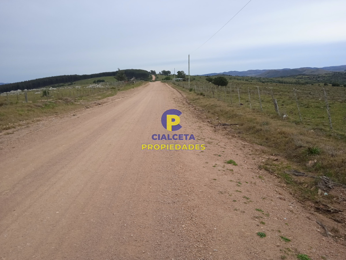 14 hectáreas con 7.500 metros con casa - GoPunta - Portal Inmobiliario de Punta del Este - Maldonado