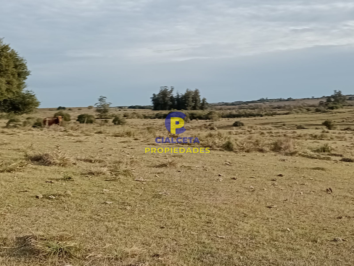 Chacra ID.268 - 5 hectáreas en Malonado