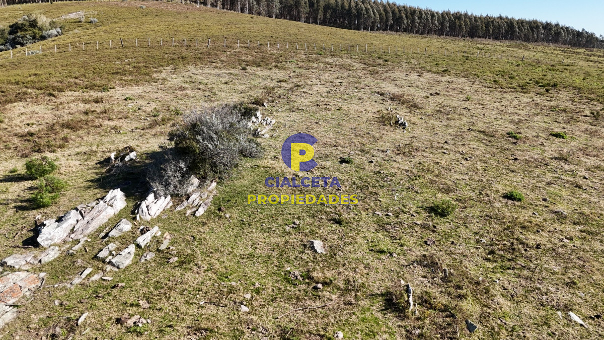 Chacra ID.492 - 5 hectáreas con entrega de 18 mil dólares
