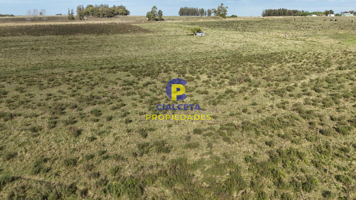 Migues - GoPunta - Portal Inmobiliario de Punta del Este - Maldonado