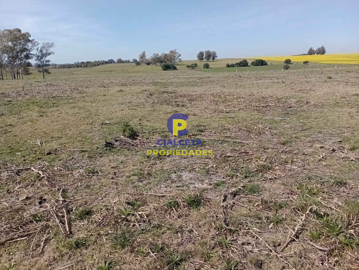 Chacra ID.336 - 5 hectáreas con 8200 metros en Lavalleja