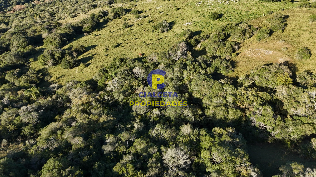 Pueblo Eden - GoPunta - Portal Inmobiliario de Punta del Este - Maldonado