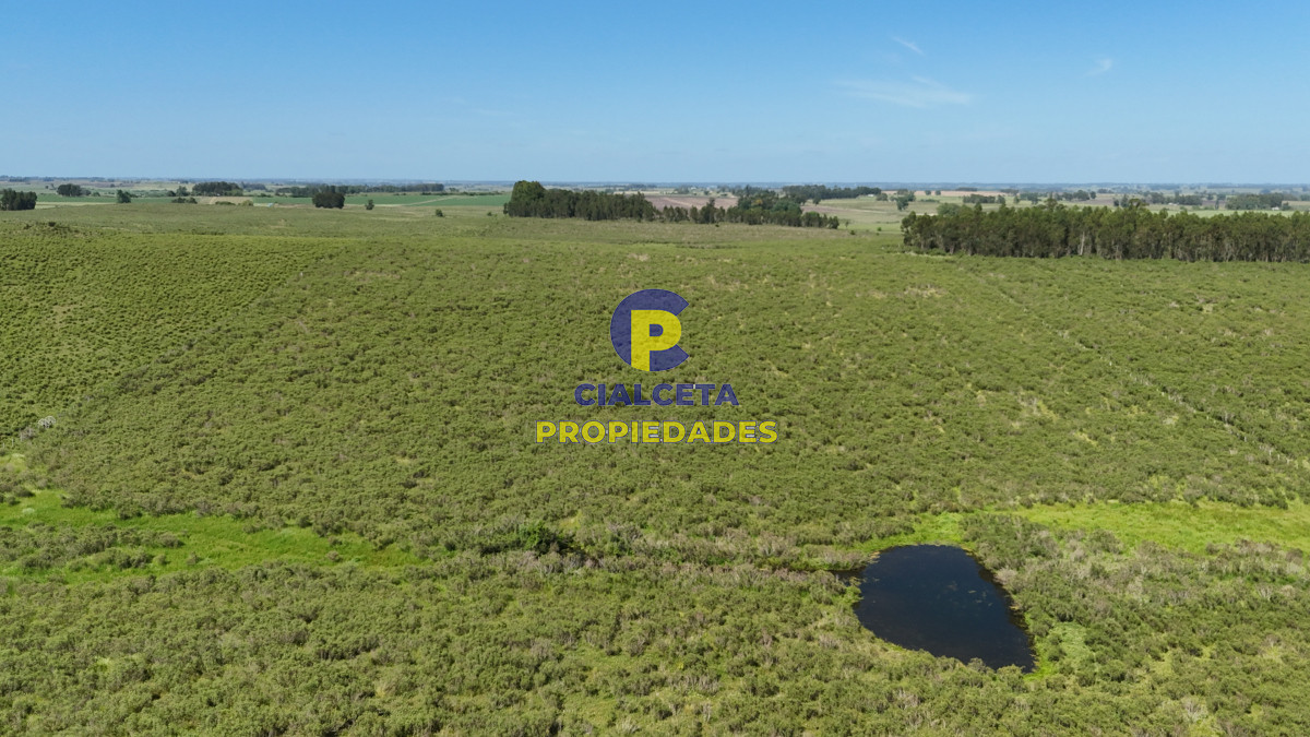 Minas - GoPunta - Portal Inmobiliario de Punta del Este - Maldonado