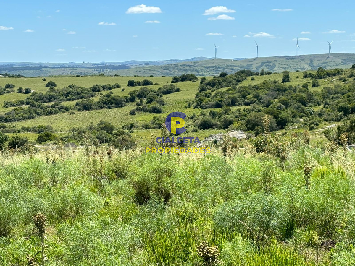 Las Cañas - GoPunta - Portal Inmobiliario de Punta del Este - Maldonado