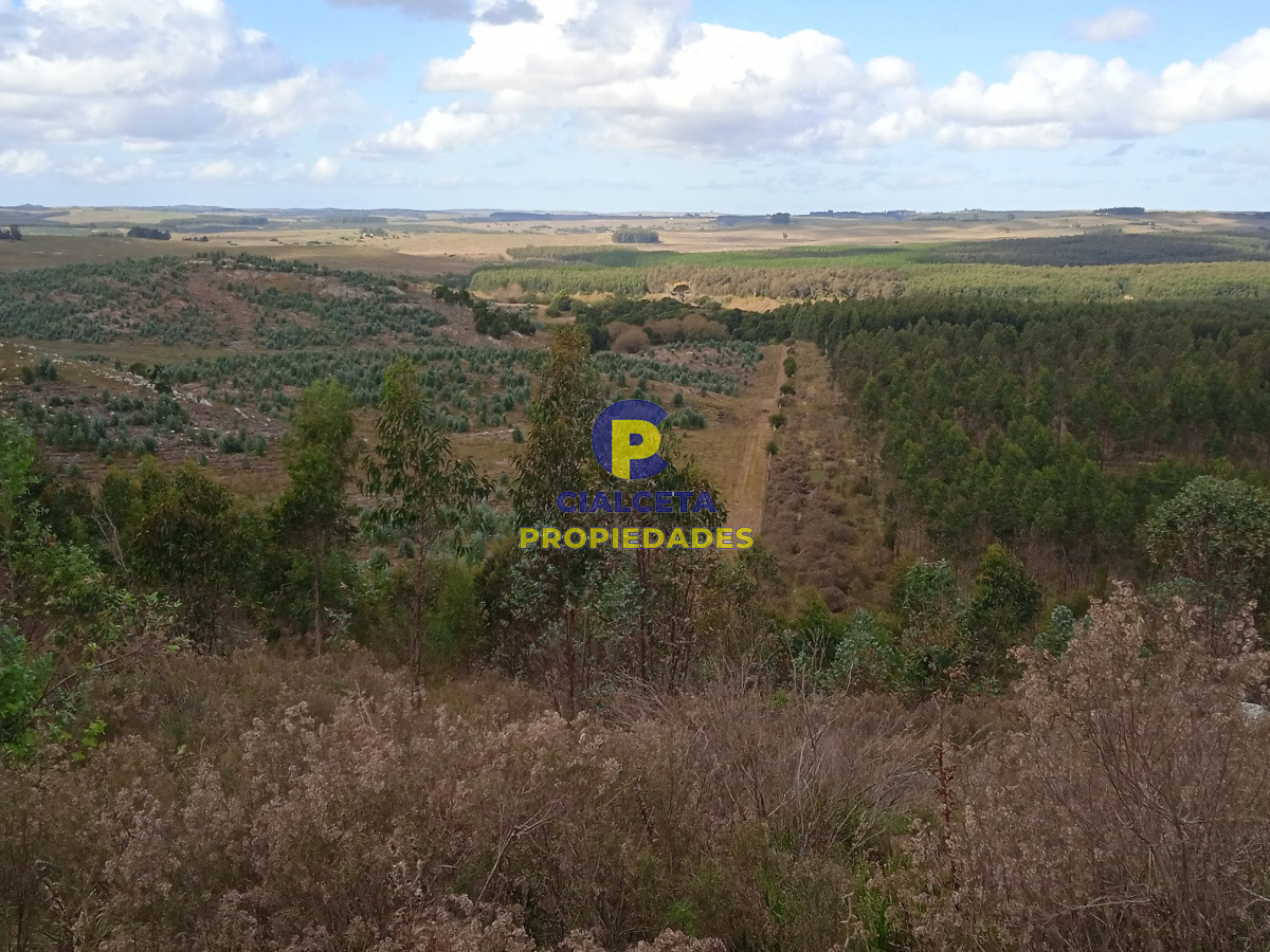 Chacra ID.48 - Entrega 7.000 U$S y saldo en 72 cuotas de 593 U$S