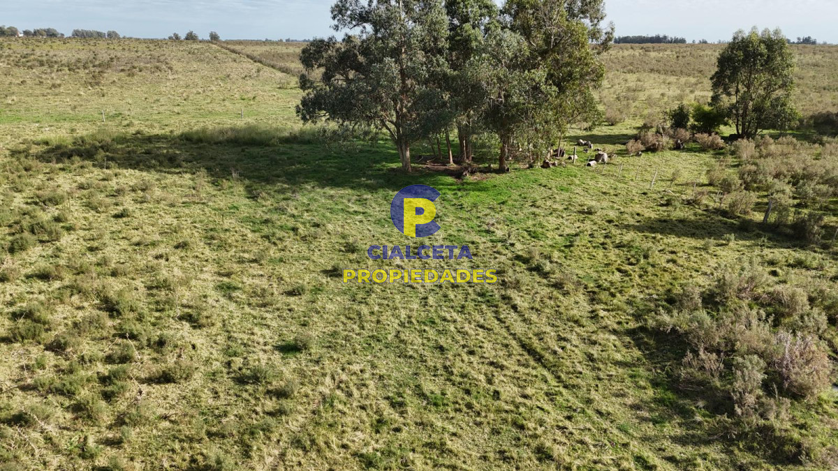 Migues - GoPunta - Portal Inmobiliario de Punta del Este - Maldonado