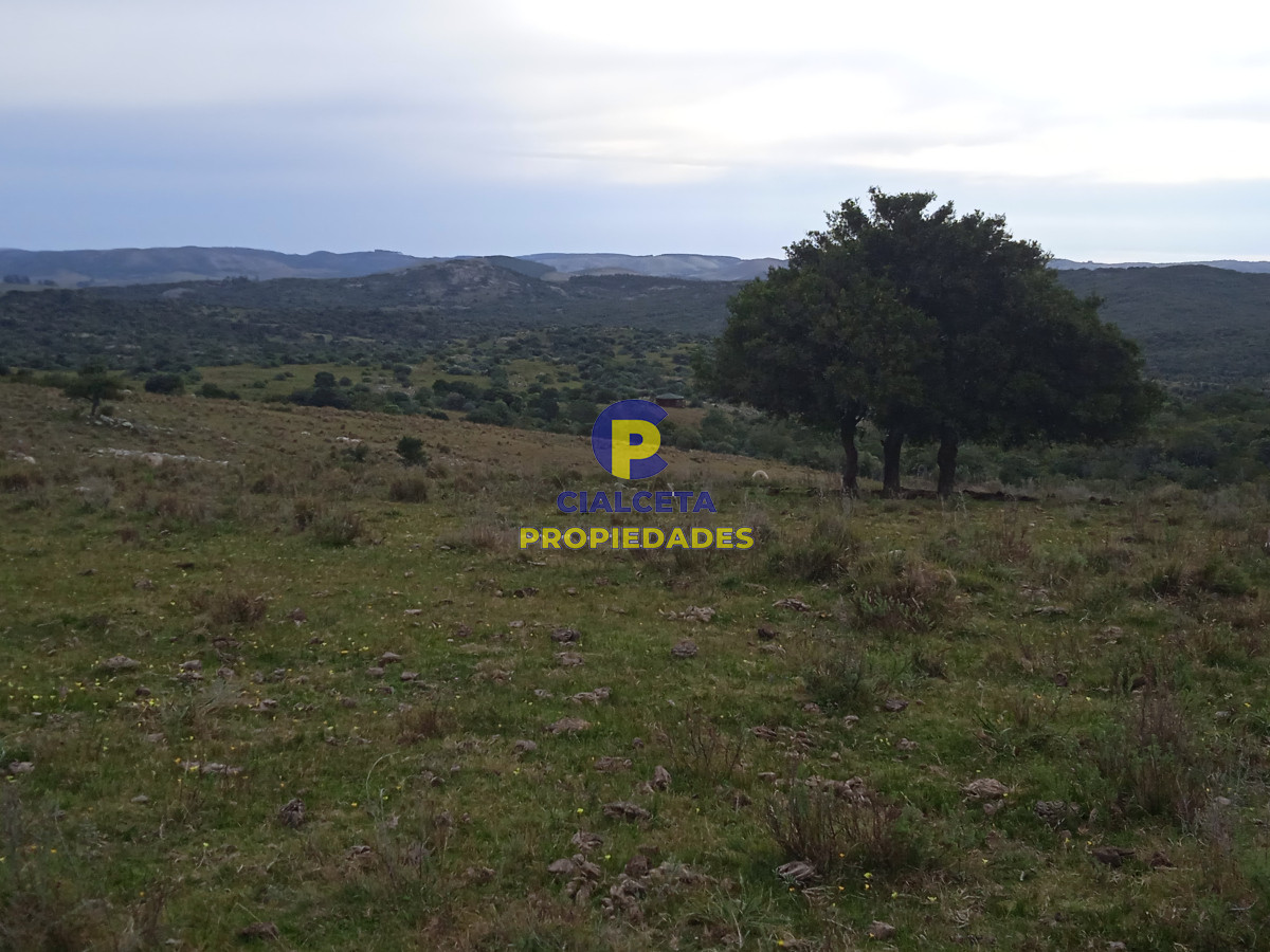 14 hectáreas con 7.500 metros con casa - GoPunta - Portal Inmobiliario de Punta del Este - Maldonado
