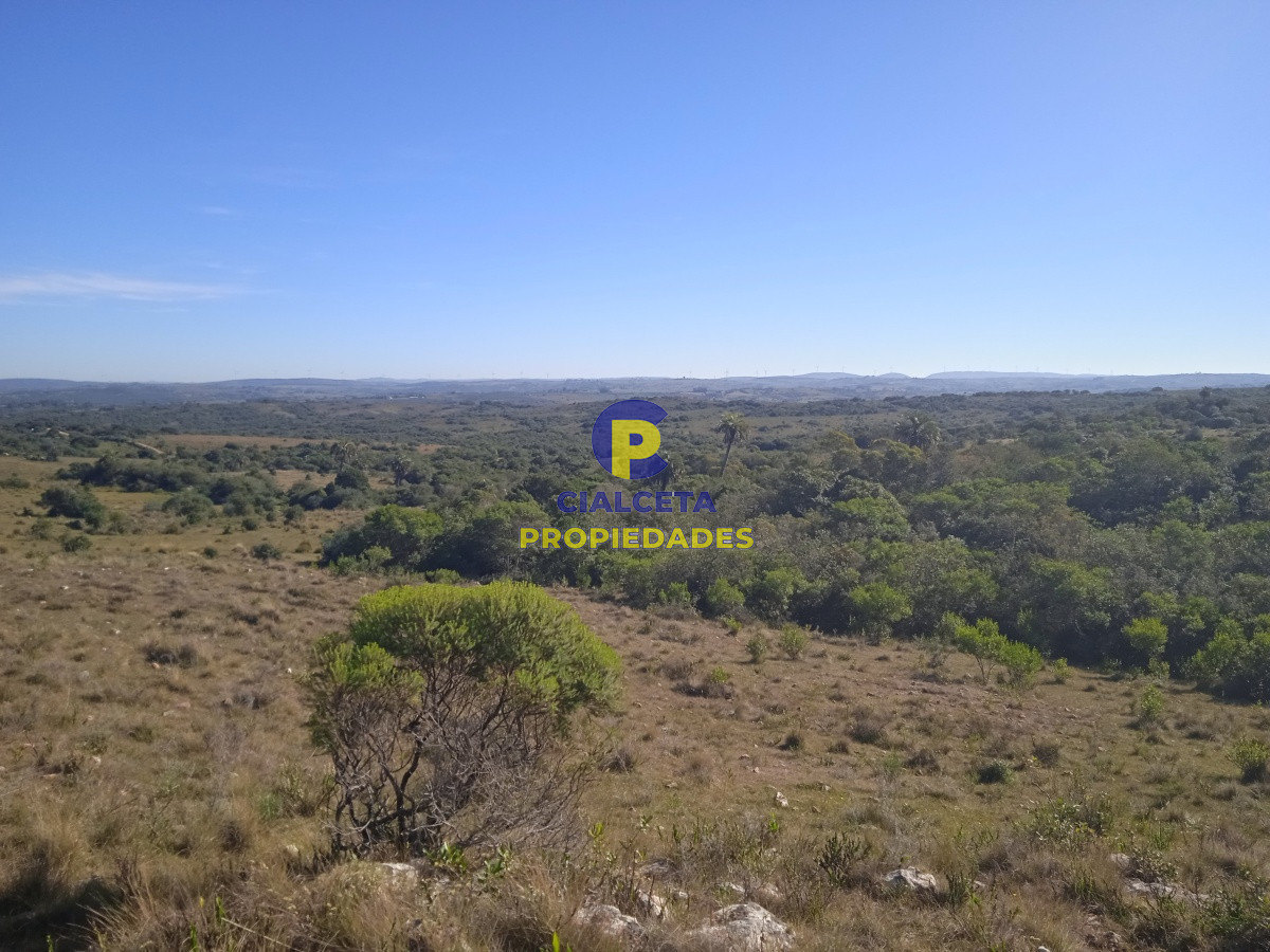 Chacra ID.202 - 5 hectáreas en las Cañas
