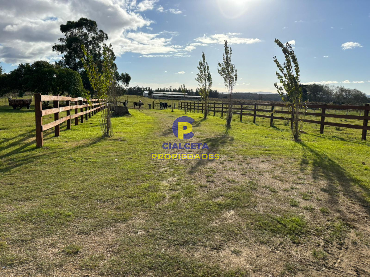 Capilla de Cella - GoPunta - Portal Inmobiliario de Punta del Este - Maldonado