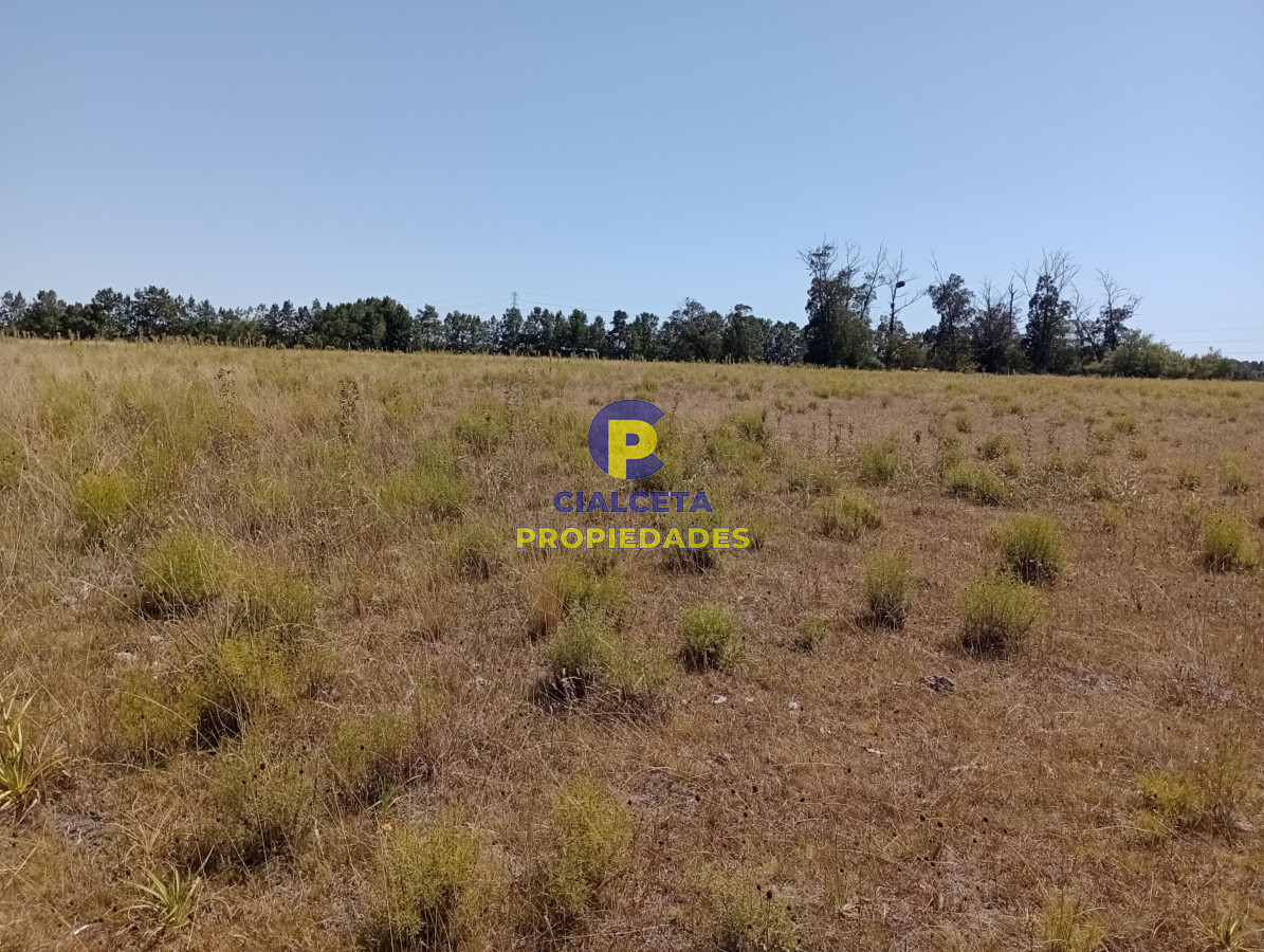 Chacra ID.117 - 5 hectáreas en ruta 104