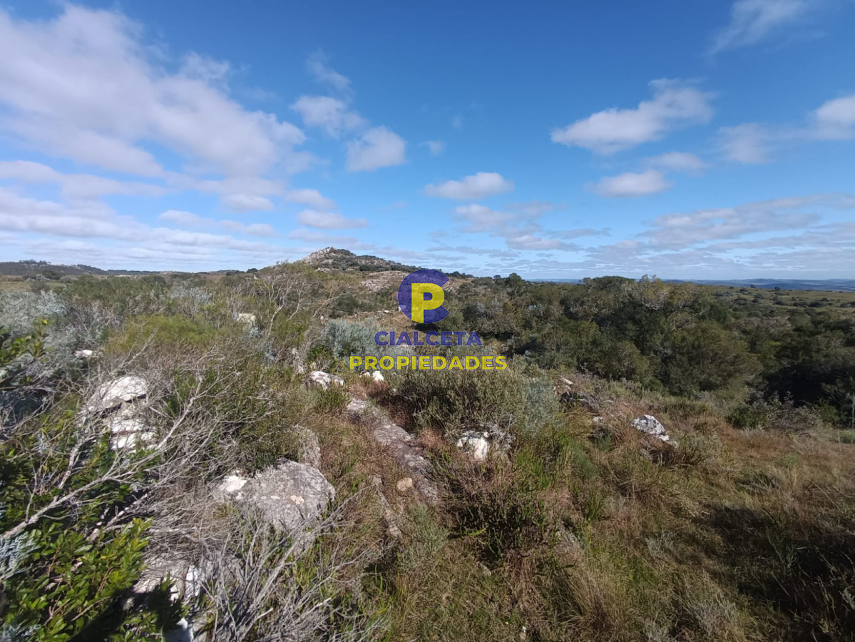 Chacra ID.524 - 8 hectáreas en Maldonado, con monte nativo