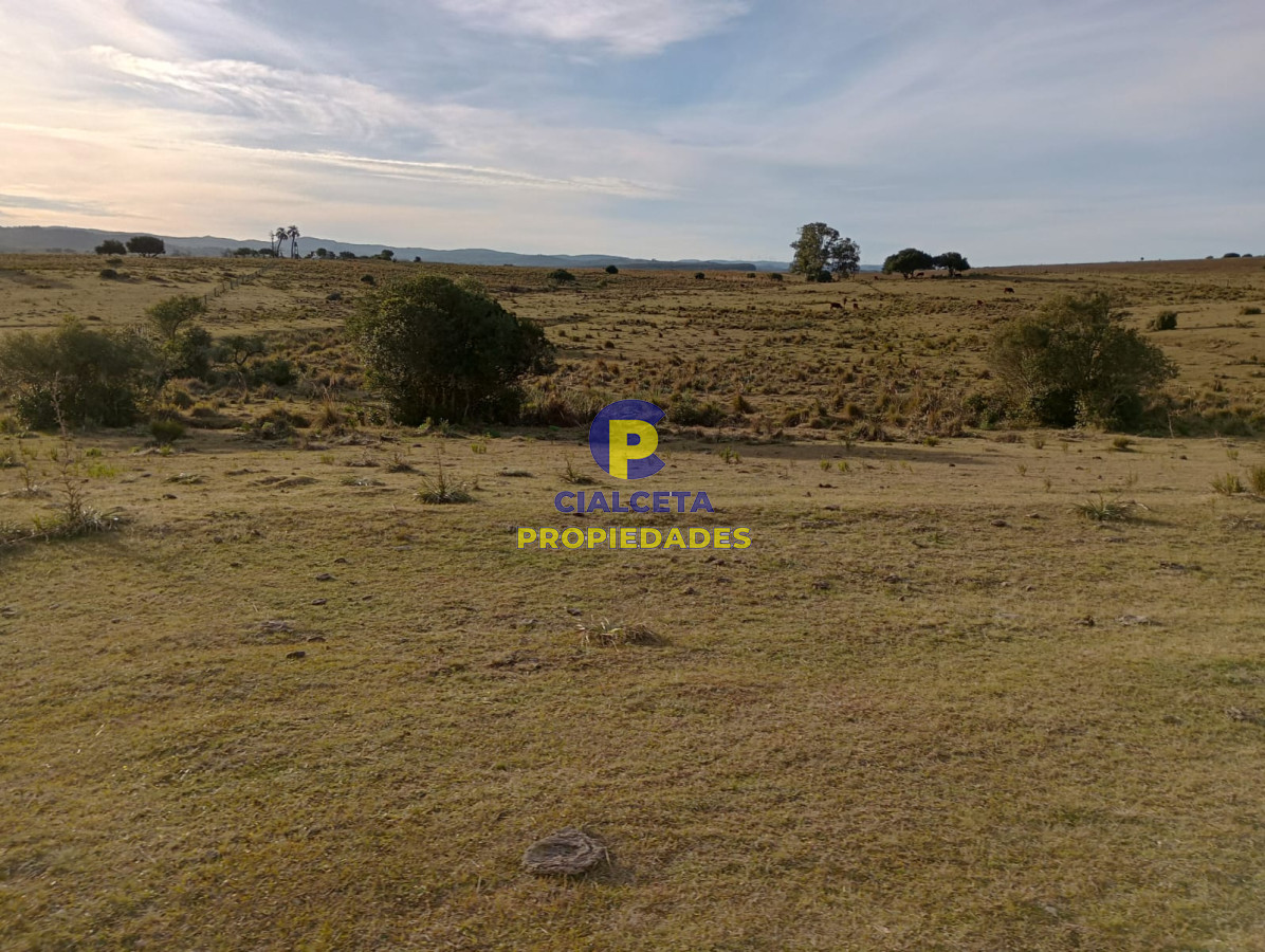 Chacra ID.266 - 5 hectáreas en maldonado