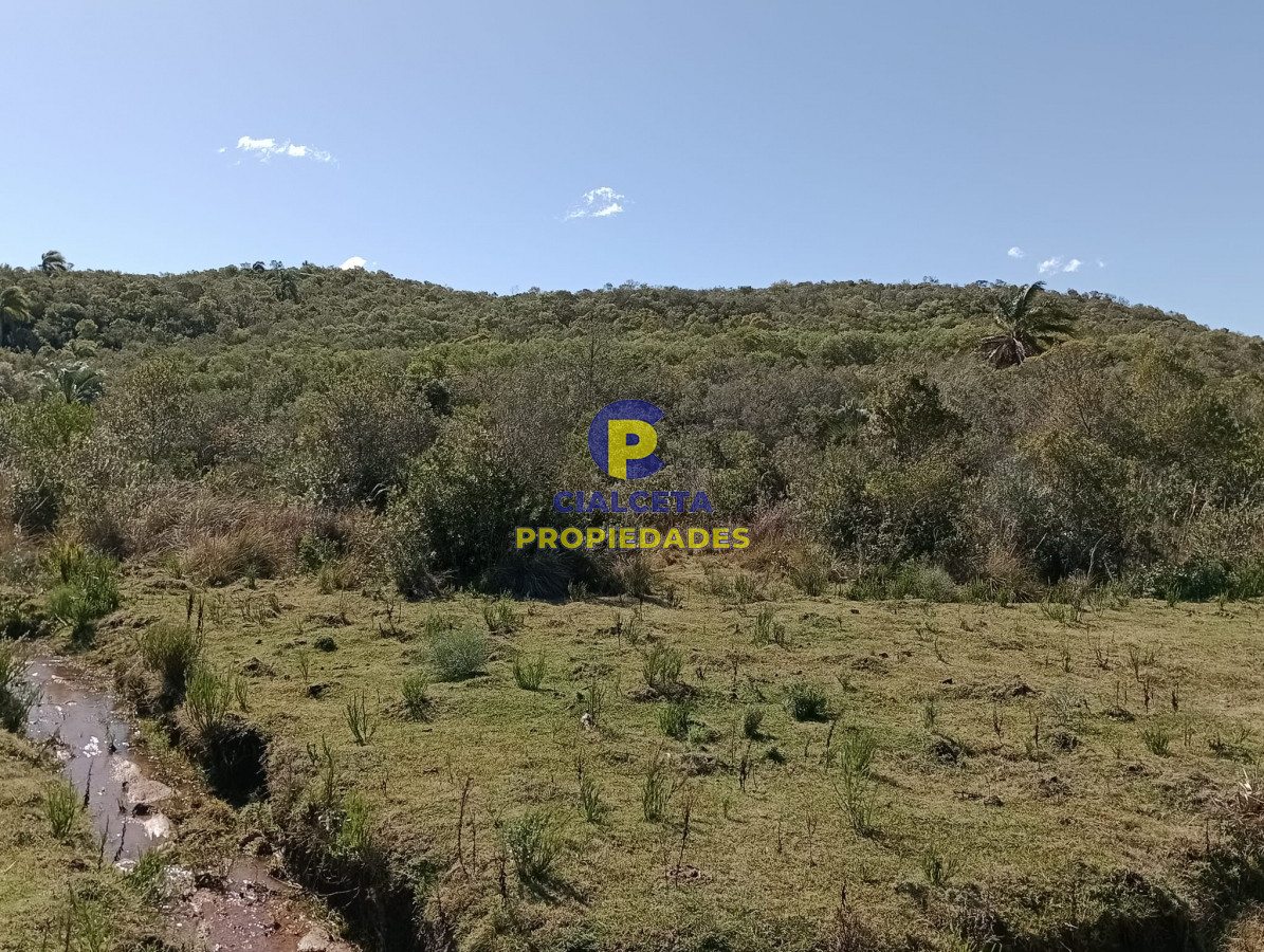 Chacra ID.292 - 5 hectáreas con monte y cañada