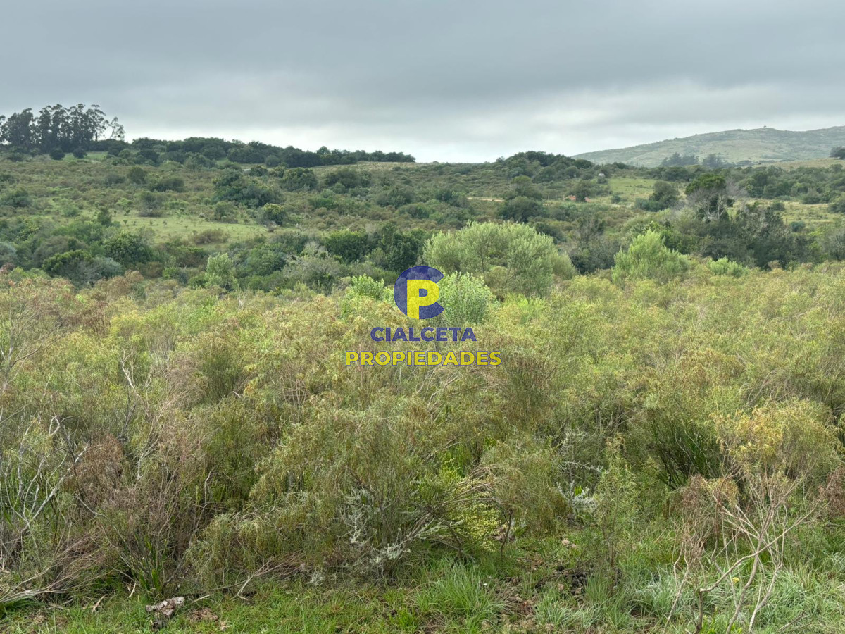 Las Cañas - GoPunta - Portal Inmobiliario de Punta del Este - Maldonado