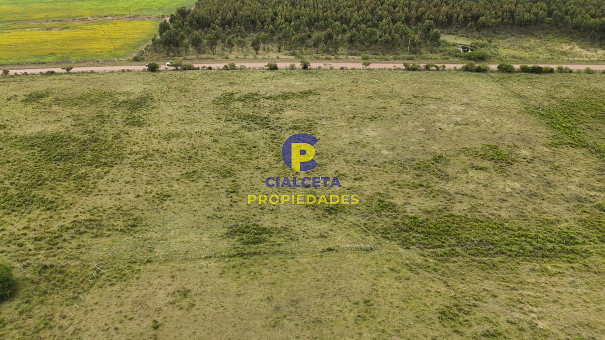Chacra ID.564 - 3 hectáreas, son 6 chacras, una con casa