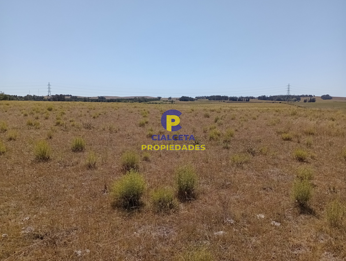 Chacra ID.117 - 5 hectáreas en ruta 104