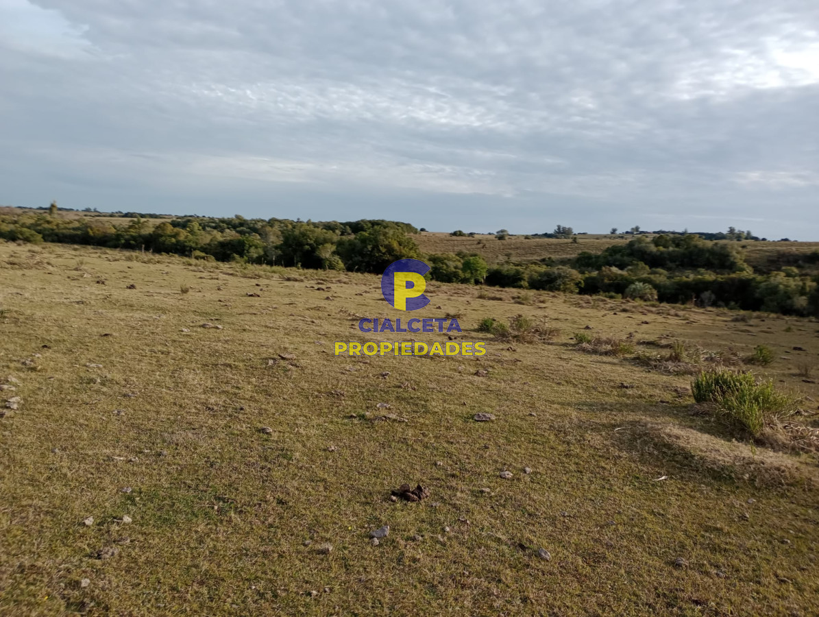 Chacra ID.269 - 5 hectáreas en Maldonado