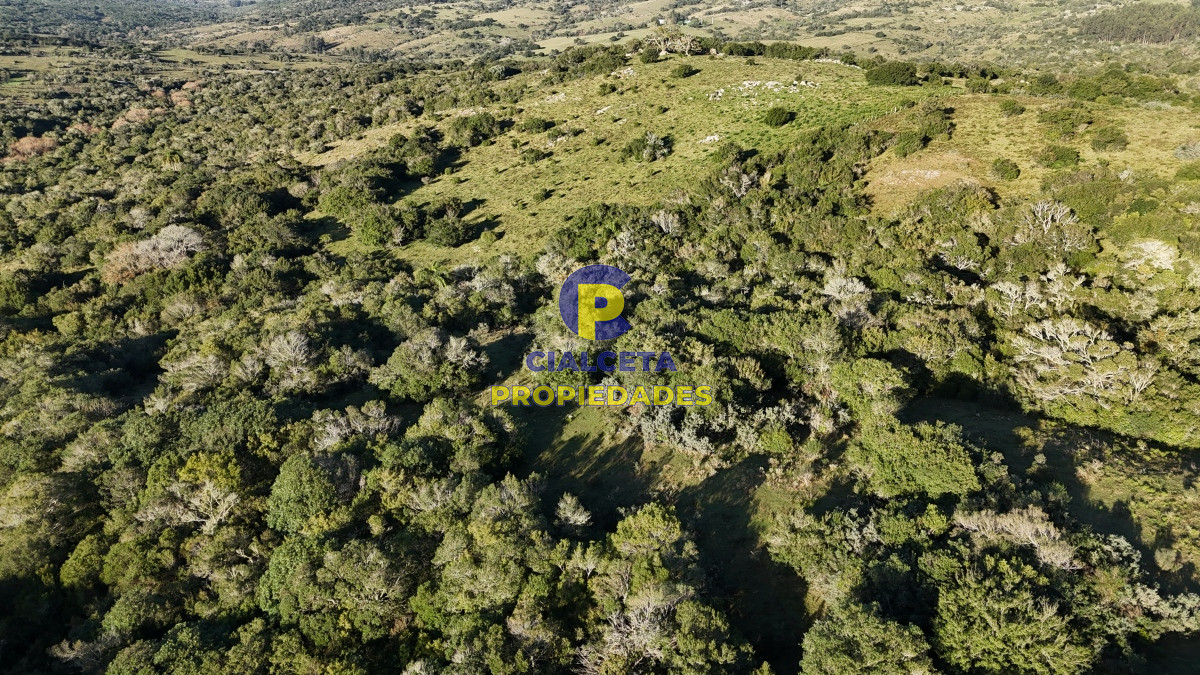 Pueblo Eden - GoPunta - Portal Inmobiliario de Punta del Este - Maldonado