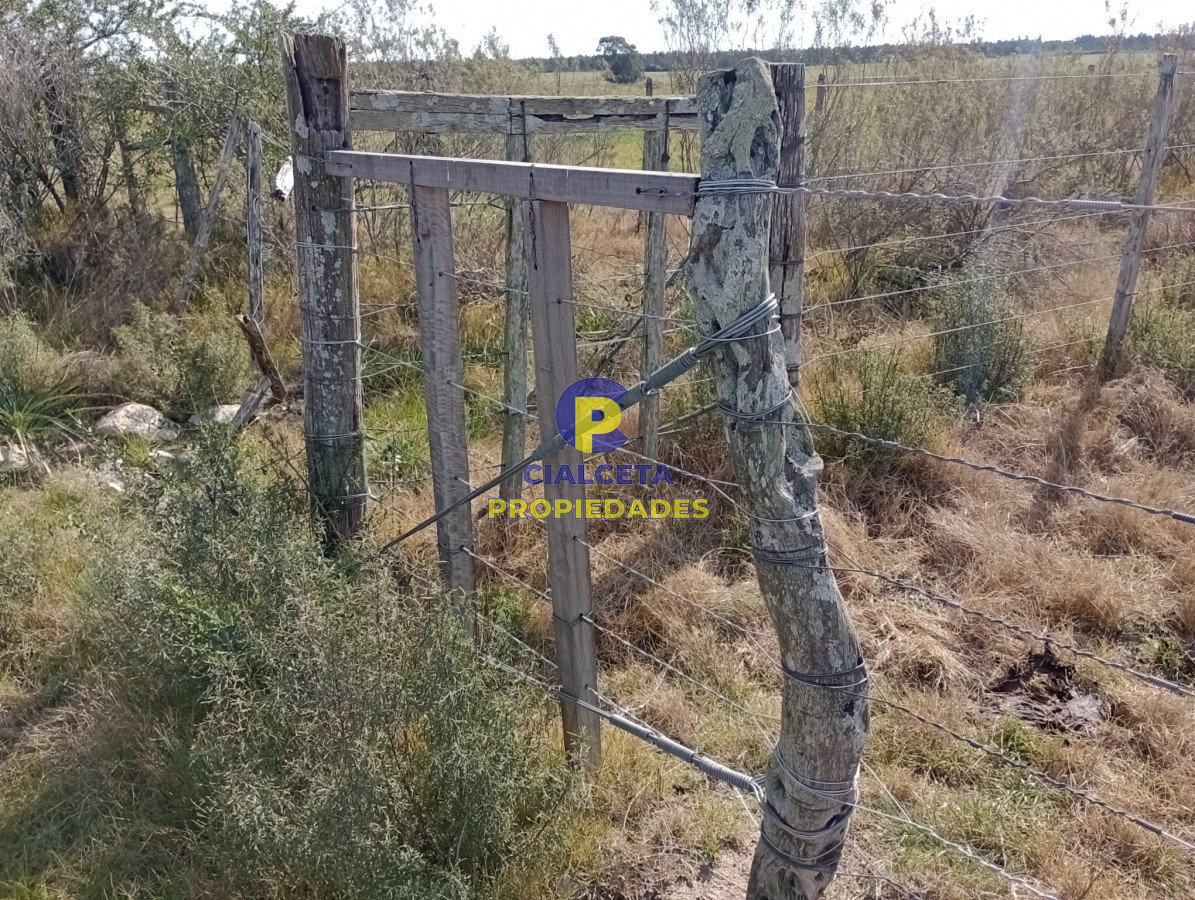 Chacra ID.286 - 5 hectáreas en Maldonado