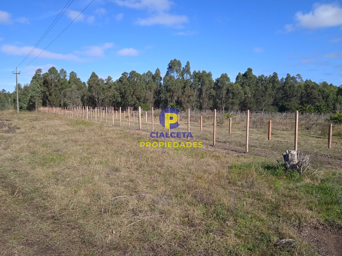 Chacra ID.201 - 3 hectáreas en Canelones